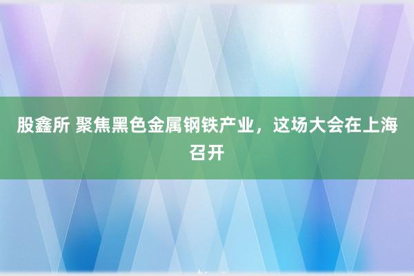 股鑫所 聚焦黑色金属钢铁产业，这场大会在上海召开