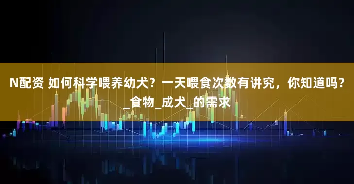 N配资 如何科学喂养幼犬？一天喂食次数有讲究，你知道吗？_食物_成犬_的需求