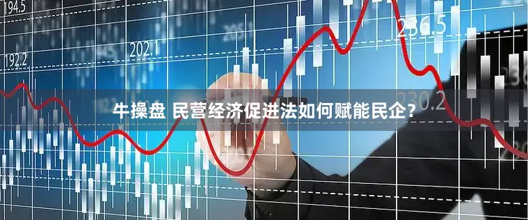 牛操盘 民营经济促进法如何赋能民企？
