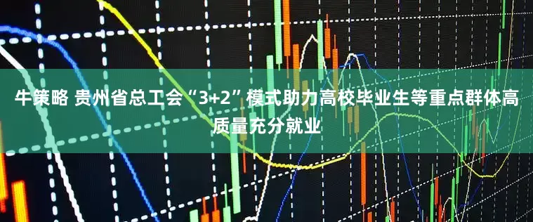 牛策略 贵州省总工会“3+2”模式助力高校毕业生等重点群体高质量充分就业