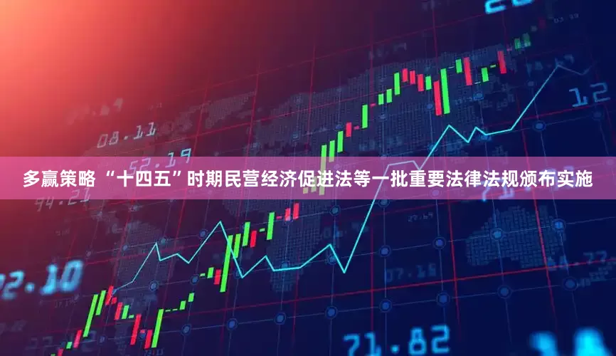 多赢策略 “十四五”时期民营经济促进法等一批重要法律法规颁布实施
